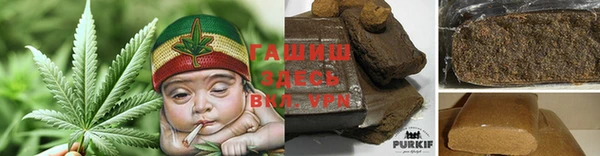 прущие грибы Абинск