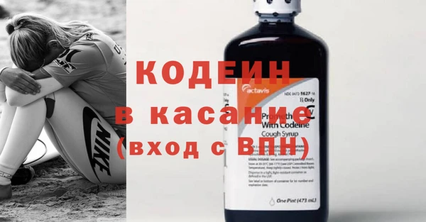прущие грибы Абинск