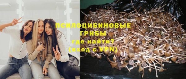 круглые Алексин