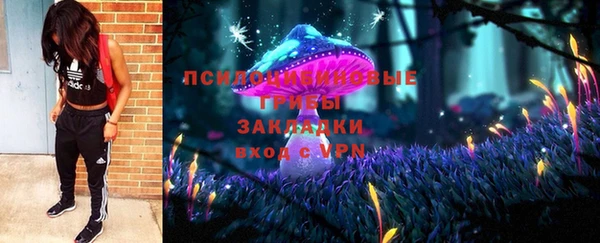 прущие грибы Абинск